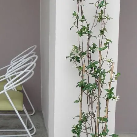 Filia 3* העיירה סקיאתוס