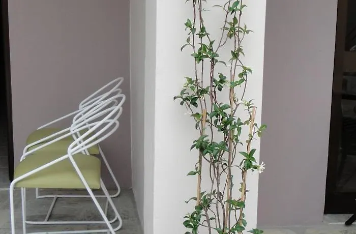 Filia 3* Città di Skiathos